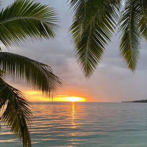 Meet your Posher, Adi